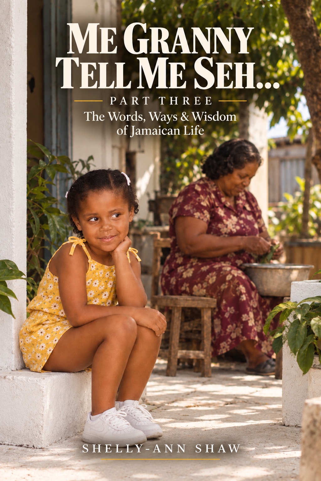Me Granny Tell Me Seh: Part Three, The Things We Nearly Forgot cover